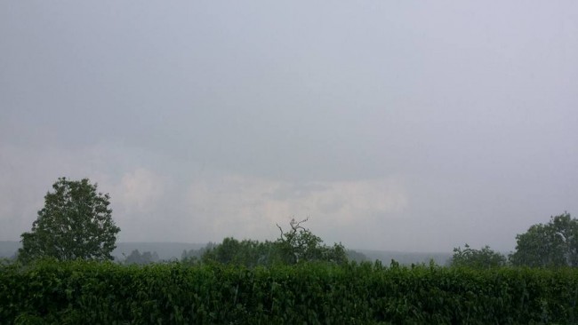 13321869_1738884616365353_1748300310127057359_n[1].jpg