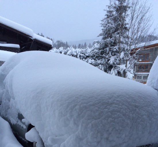 neige-alpes-30-janvier-2015.jpg
