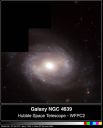 96-21b.jpg