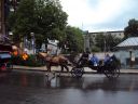 Filename=DSC00806.JPG
Filesize=152KiB
Dimensions=800x600
Date added=Aug 31, 2012 DSC00806.JPG