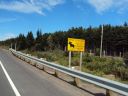 DSC01055.JPG
