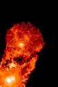 xztaumx.gif
