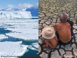 chaud froid