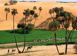 sahara reverdit