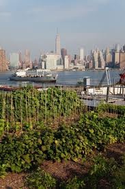 ferme-brooklyn