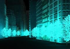 arbres bioluminescents