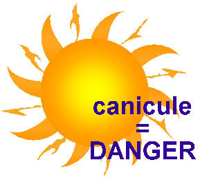 canicule