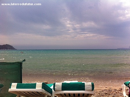 photo.JPG