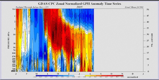 Zonal 1.jpg