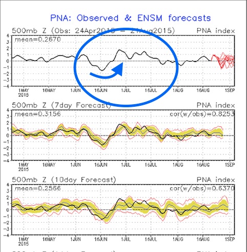 PNA.jpg
