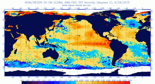sst-elnino.9.28.2015.gif