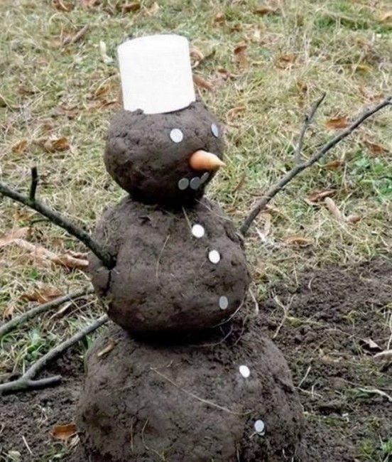 bon-homme-terre.jpg