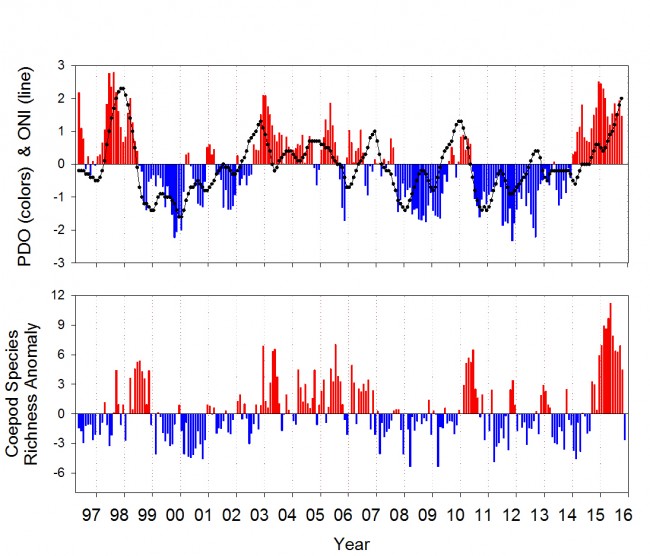 pdo.JPG