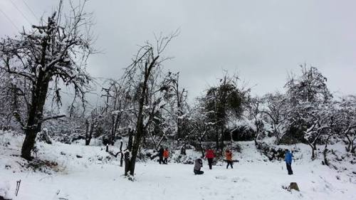 viet-nam-snow.jpg