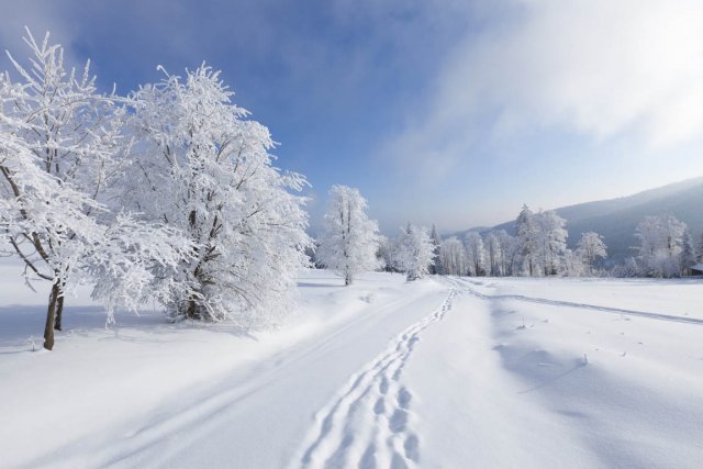 614532-notre-pays-hiver-allergie-froid[1].jpg