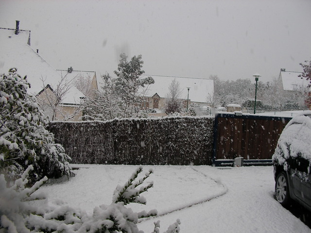 20101128165nnnnn.jpg