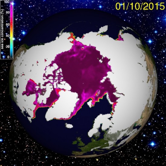 artic.jpg